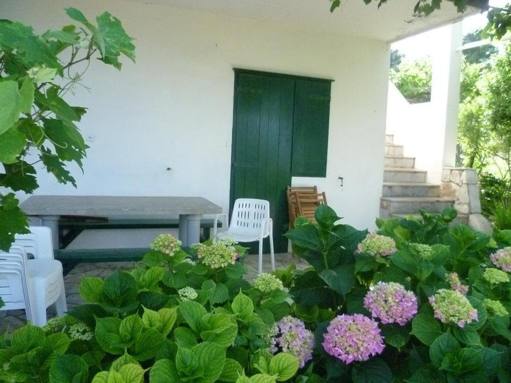 Seaview Apartament Slatine