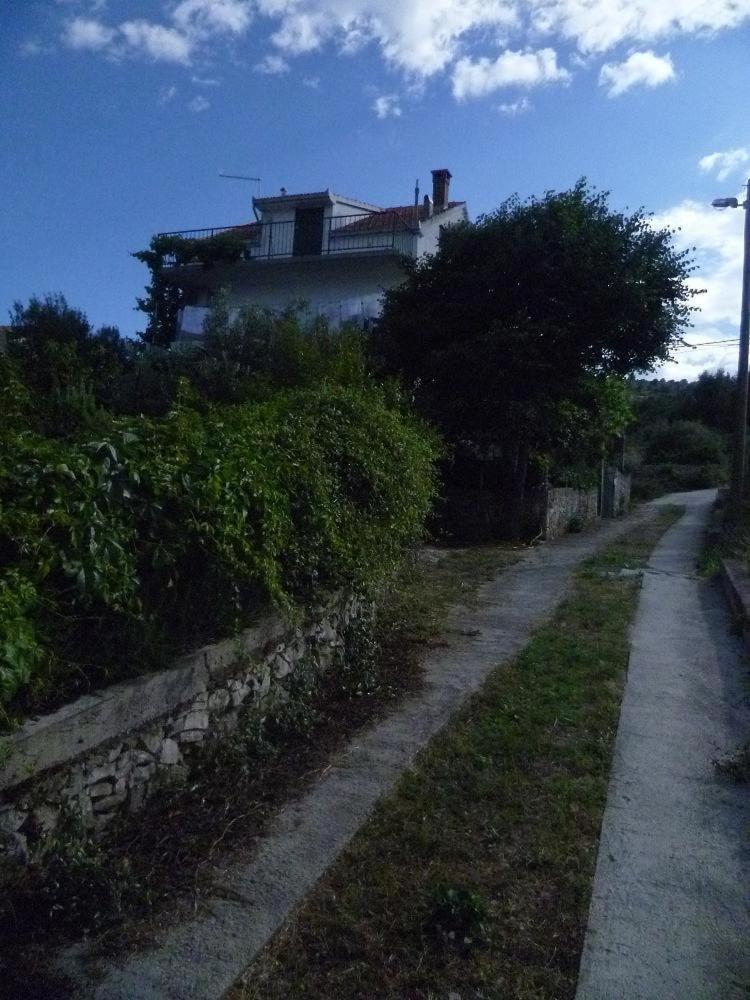 Seaview Apartament *