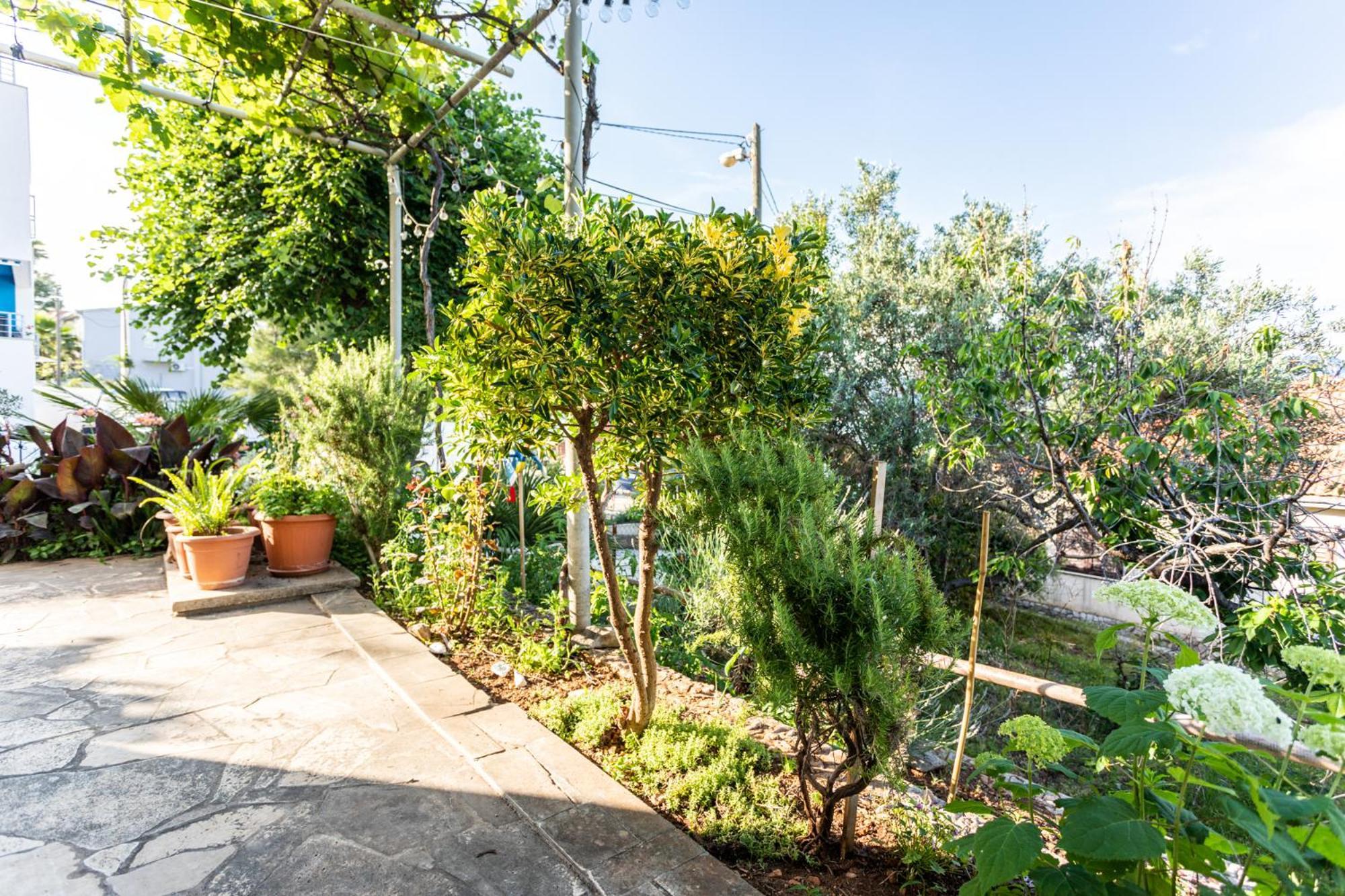 Apartament Seaview